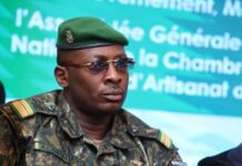 Présidence de la République : le Colonel Amara Camara , la cible des imposteurs