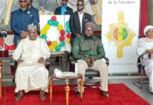 Transition : Dr Dansa Kourouma annonce l’écriture de la nouvelle Constitution dans « les prochaines semaines »