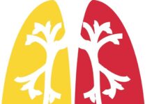 Lutte contre le tabagisme : l’impérieuse nécessité d’intensifier la sensibilisation du grand public