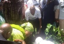 Lutte contre le basculement climatique : Hadja Safiatou Diallo plaide pour un effort collectif