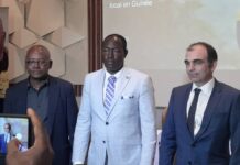 Conakry: le ministre des mines regrette que la Guinee soit toujours pauvre malgré ses richesses
