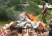 Siguiri : plus de 650 kilogrammes de chanvre indien incinérés (procureur)