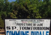 Labé : un relais communautaire mis aux arrêts pour vol de bétail à Tountouroun