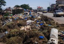 Gestion des déchets à Conakry : La cohabitation incompatible entre deux systèmes de collecte