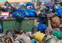 Conakry : les citoyens cohabitent avec les ordures