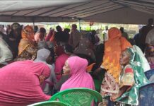 Labé : un insecticide tue une mère et ses deux enfants