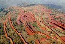 Guinée : un projet d’extraction de fer menace forêts et populations locales