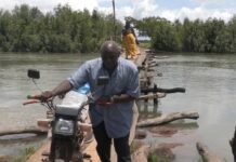 Boké : le calvaire des usagers du pont en bois de Kakoubaga dans la sous-préfecture de Bintimodia