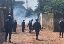 A qui profite les manifestations en Guinée ? (Par Mamoudou Boulléré Diallo)