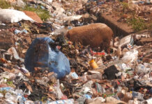 Boké : les ordures regagnent le terrain