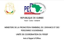 Guinée : voici un Avis d’Appel d’offres sur l’Acquisition de matériels informatiques et mobiliers de bureaux pour l’Unité de Coordination du PERSIF