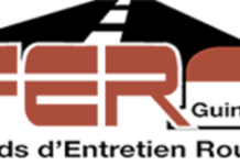 Guinée: quand la Banque mondiale recommande la solution du FER et autres FER d’Afrique