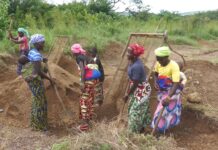 Boké-Tanéné : immersion dans l’univers des femmes qui extraient du gravier à Thouaye pour survivre