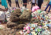 Faranah : les autorités incinèrent plusieurs kilogrammes de chanvre indien et des tonnes de produits périmés