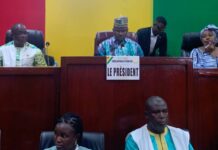 Insécurité en Guinée, violation des procédures judiciaires : voici les propositions du CNT au PM