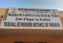 TPI de Faranah : Deux anciens cadres poursuivis par le RPG-AEC pour détournement de biens privés Tribunal de Première Instance de Faranah, Laguinee.info