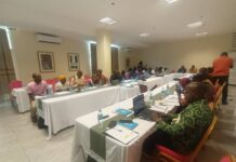 Bénéfices de la vaccination contre la Covid-19 et d’autres maladies évitables par la vaccination : 50 journalistes à l’école de l’OMS