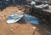 Cimenterie : découverte macabre d’un corps à proximité du carrefour