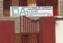 Boké : la quasi-totalité des commerçants sont dans l’informel