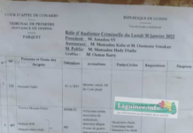 TPI de Dixinn : ouverture du procès du policier présumé meurtrier de Thierno Mamadou Diallo à Hamdallaye