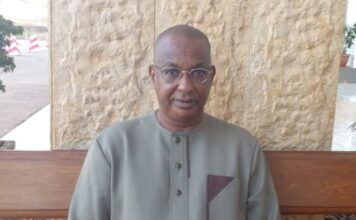 Politique agricole du gouvernement : « c’est du populisme, parce que… » (Dr Diao Baldé)