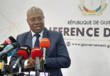 Guinée Télécom : « le test grand public a commencé…Le réseau déjà opérationnel à Kaloum » (Ministre)