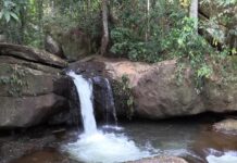 N’Zoo-Lola : A la découverte de ‘’Têh-Wêh’’, un bijou touristique en voie de disparition (Reportage)