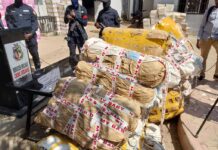 Lutte contre la drogue : saisie à Forécariah de plus de 150 kilos de chanvre indien