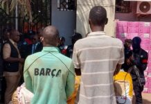 Lutte contre la drogue : trois personnes arrêtées à Forékariah avec 225 kg de chanvre indien