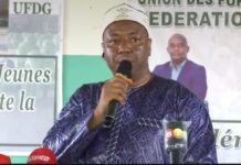 Cellou Baldé : « la junte a fait mal à l’UFDG et au président Dalein »