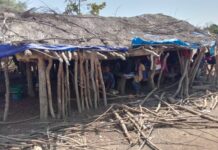 Faranah : les enfants du village de Fourankan suivent les cours sous des paillotes