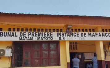 Viol sur mineurs à l’orphelinat Hakuna Matata : Néro Lancinet Camara condamné à deux ans de prison…