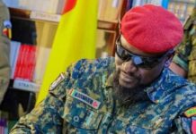 ONFPP : les membres du Conseil d’Administration nommés