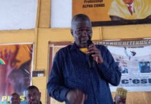 Transition à rallonge : «La Guinée ne peut plus supporter cette situation », Mohamed Lamine Kamissoko