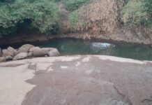 Bananeraie (Coyah) : un adolescent se noie et perd la vie (témoin)