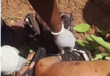 Siguiri : découverte d’un corps, égorgé et enchaîné entre Namankoubala et Soubrakolé