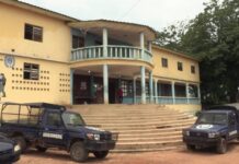 Insécurité à N’Zérékoré : un présumé voleur tombe dans le filet des forces de l’ordre