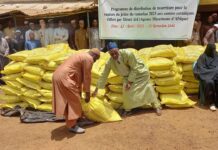 Guinée : l’exportation du riz et autres produits alimentaires interdite