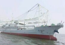 Guinée : avec plus de 50 mille cartons de poissons déversés sur le marché local, les navires BO YUAN 17 et 18 pour une pêche professionnelle et assidue