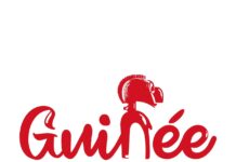 Branding-Guinée : Le Chef de l’Etat crée et place la Guinée sur orbite de la reconnaissance mondiale