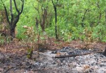 Mandiana : un sexagénaire assassiné et calciné par des inconnus à Malikila