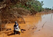 Siguiri : découverte d’un corps sans vie entre Kamatiguiya et Kintinian