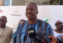 Projets Simandou 2040 : Mamoudou Nagnalen Barry souligne le rôle stratégique de la diaspora dans le développement d’un pays