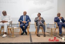 Usage des drones en Guinée : ouverture à Conakry d’un atelier sur l’implémentation et réglementation dans le secteur