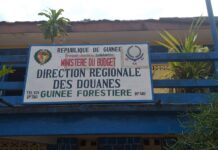 N’Zérékoré : saisie de 146.250 cartouches de minutions calibre 12 et plusieurs faux médicaments