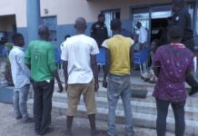 Kankan : 7 individus arrêtés avec une importante quantité de stupéfiants