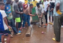 Conakry : le corps d’un nouveau-né retrouvé dans une poubelle