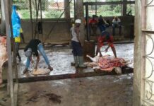 Kindia : l’abattoir dans un piteux état, les travailleurs demandent de l’aide