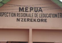 Orientation dans les universités : les bacheliers de N’Zérékoré ont du mal à s’en sortir