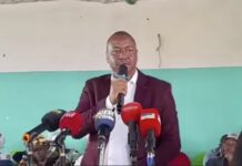 UFDG : « Ce que nous attendons du CNRD, c’est la constitution, le fichier électoral, le code électoral…»